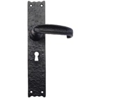 Zoo Hardware Foxcote Foundries Traditional Door Handles On Long Backplate, Black Antique - FF511 (sold in pairs)