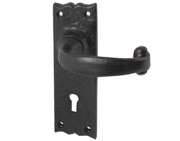 Frelan Hardware Regal Door Handles On Backplate, Black Antique - JAB1 (sold in pairs)