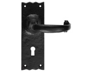 Carlisle Brass Ludlow Foundries Traditional Door Handles On Backplate, Black Antique - LF5501 (sold in pairs)