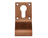Zoo Hardware Cylinder Latch Pull Euro Profile (88mm x 43mm), PVD Bronze - ZAS16-PVDBZ