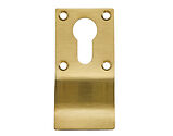 Zoo Hardware Cylinder Latch Pull Euro Profile (88mm x 43mm), PVD Satin Brass- ZAS16-PVDSB