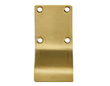 Zoo Hardware Cylinder Latch Pull Blank Profile (88mm x 43mm), PVD Satin Brass - ZAS19-PVDSB