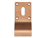 Zoo Hardware Cylinder Latch Pull Standard Profile (88mm x 43mm), Tuscan Rose Gold - ZAS20-TRG