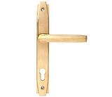 Polished Brass UPVC or Multi-Point Lock Door Handles
