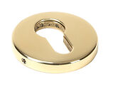 From The Anvil Regency Round Euro Profile Concealed Escutcheon, Polished Brass - 46551