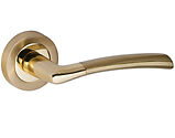 Frisco Insignia Tifosi Door Handles On Round Rose, Dual Finish Polished Brass & Satin Brass - 63116 (sold in pairs)