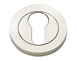 Alexander & Wilks Euro Profile Concealed Fix Escutcheon, Polished Nickel PVD - AW390PNPVD