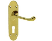 Carlisle Brass Oakley Door Handles On Backplate, Polished Brass - DL167 (sold in pairs)