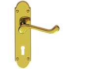 Carlisle Brass Oakley Door Handles On Backplate, PVD Stainless Brass - DL167PVD (sold in pairs)