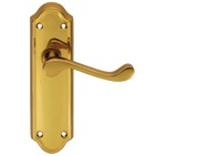 Carlisle Brass Ashtead Door Handles On Backplate, Polished Brass - DL16 (sold in pairs)