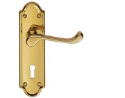 Carlisle Brass Ashtead Door Handles On Backplate, PVD Stainless Brass - DL17PVD (sold in pairs)