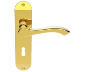 Carlisle Brass Andros Door Handles On Backplate, Polished Brass - DL180PB (sold in pairs)