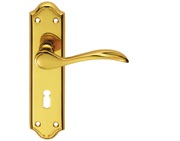 Carlisle Brass Madrid Door Handles On Backplate, Polished Brass - DL190 (sold in pairs)