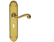 Carlisle Brass Chesham Door Handles On Long Backplate, Polished Brass - DL270PB (sold in pairs)
