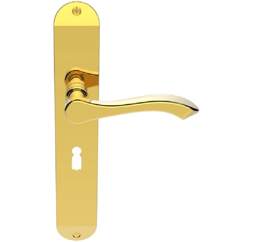 Carlisle Brass Andros Door Handles On Long Backplate, Polished Brass -  DL380PB (sold in pairs) from Door Handle Company