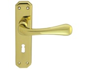 Carlisle Brass Eden Door Handles On Backplate, Polished Brass - DL410 (sold in pairs)