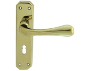 Carlisle Brass Eden Door Handles On Backplate, PVD Stainless Brass - DL410PVD (sold in pairs)