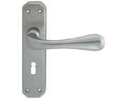 Carlisle Brass Eden Door Handles On Backplate, Satin Chrome - DL410SC (sold in pairs)
