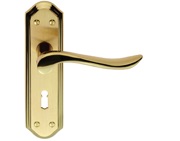 Carlisle Brass Lytham Door Handles On Backplate, Dual Finish Polished Brass & Satin Brass - DL450SBPB (sold in pairs)