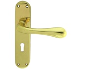 Carlisle Brass Manital Astro Door Handles On Backplate, Polished Brass - EL21 (sold in pairs)