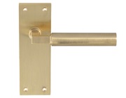 Carlisle Brass Amiata Door Handles On Slim Backplate, Satin Brass - EUL041SB (sold in pairs)