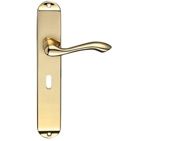 Zoo Hardware Fulton & Bray Arundel Door Handles On Long Backplate, Polished Brass - FB031 (sold in pairs)