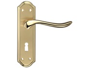 Zoo Hardware Fulton & Bray Lincoln Door Handles On Backplate, Dual Finish Satin Brass & Polished Brass - FB041SBPB (sold in pairs)