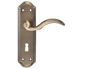 Zoo Hardware Fulton & Bray Winchester Door Handles On Backplate, Florentine Bronze - FB051FB (sold in pairs)