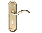 Zoo Hardware Fulton & Bray Winchester Door Handles On Backplate, Satin Brass & Polished Brass - FB051SBPB (sold in pairs)