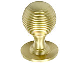 Prima Queen Anne Reeded Solid Cupboard Knobs (25mm, 32mm Or 38mm), Satin Brass - SB974