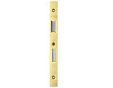Zoo Hardware Face Plate And Strike Plate Accessory Pack For Din Lock, PVD Polished Brass - VDL7855-PVDG