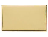 M Marcus Electrical Winchester Double Blank Plate, Polished Brass - W01.640