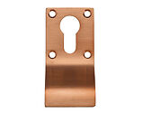Zoo Hardware Cylinder Latch Pull Euro Profile (88mm x 43mm), Tuscan Rose Gold - ZAS16-TRG