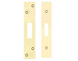 Zoo Hardware Face Plate And Strike Plate Accessory Pack, Polished Brass - ZLAP11BPBUL