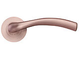 Zoo Hardware Stanza Siena Lever On Round Rose, Tuscan Rose Gold - ZPZ050-TRG (sold in pairs)