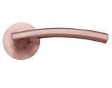 Zoo Hardware Stanza Amalfi Lever On Round Rose, Tuscan Rose Gold - ZPZ080-TRG (sold in pairs)