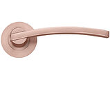 Zoo Hardware Stanza Adria Lever On Round Rose, Tuscan Rose Gold - ZPZ100-TRG (sold in pairs)