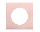 Zoo Hardware Spare Square Screw On Rose Pack (For ZPZ Handles), Tuscan Rose Gold - ZPZSQSR-TRG